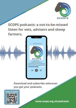 Series two of popular SCOPS podcast lands