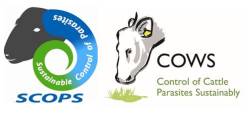 SCOPS and COWS invite vets and advisers to Test-Based Control of Liver Fluke webinar