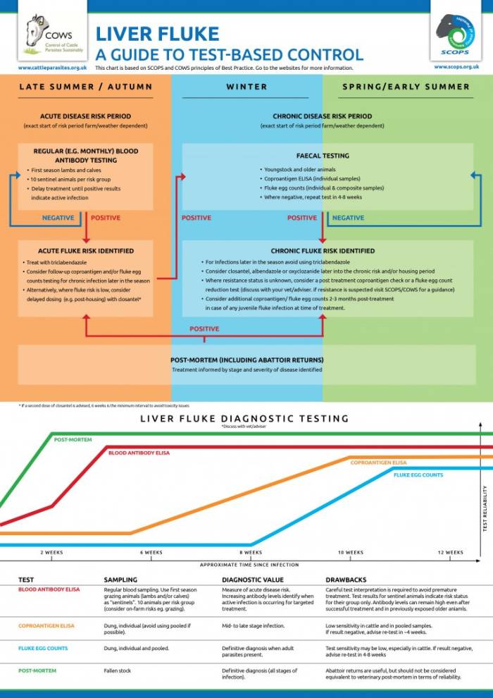 Download the SCOPS guide to test-based liver fluke control.