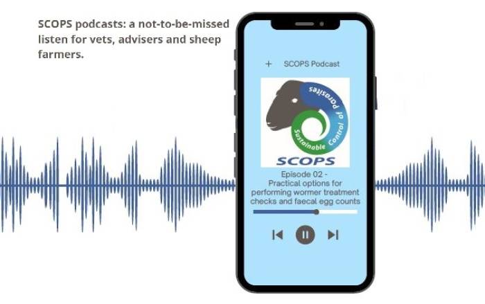 The SCOPS podcast offering includes two great liver fluke episodes about understanding risk, and responding to high risk. Click here for more.