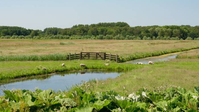 A healthy pasture invertebrate community contributes to natural parasite reduction